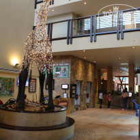 фото из отзыва ID 1640040