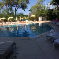 фото из отзыва ID 1640083