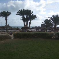 фото из отзыва ID 1640216