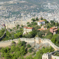 фото из отзыва ID 1640315