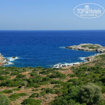 фото из отзыва ID 1640849