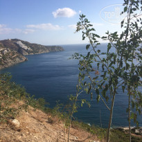 фото из отзыва ID 1640849