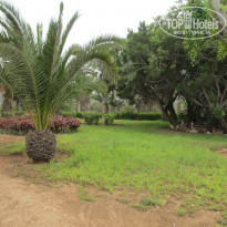 фото из отзыва ID 1640992