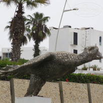 фото из отзыва ID 1640992