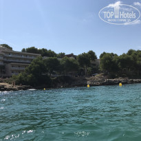 фото из отзыва ID 1641007