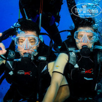 фото из отзыва ID 1641047