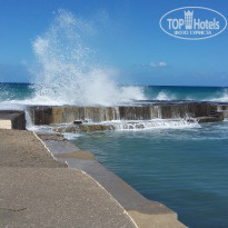 фото из отзыва ID 1641200