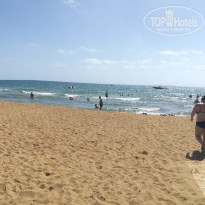 фото из отзыва ID 1641286