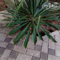 фото из отзыва ID 1641309