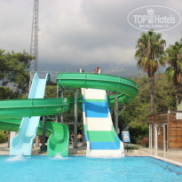 фото из отзыва ID 1641387