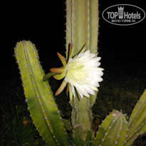 фото из отзыва ID 1641489