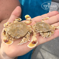 фото из отзыва ID 1640289