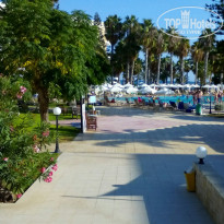 фото из отзыва ID 1641525