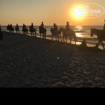 фото из отзыва ID 1641527