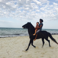 фото из отзыва ID 1641691