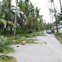 фото из отзыва ID 1641277