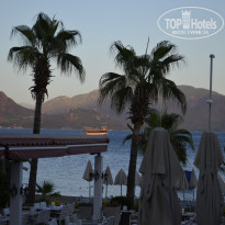 фото из отзыва ID 1641765