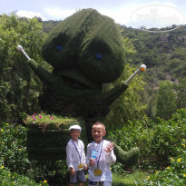 фото из отзыва ID 1641954