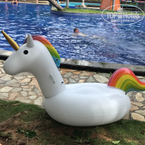 фото из отзыва ID 1642048