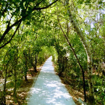 фото из отзыва ID 1642158