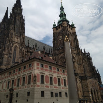 фото из отзыва ID 1642321