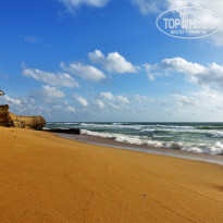 фото из отзыва ID 1642382