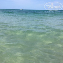 фото из отзыва ID 1642606