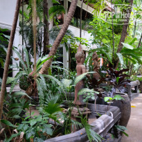 фото из отзыва ID 1642697