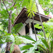 фото из отзыва ID 1642697