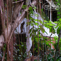 фото из отзыва ID 1642697