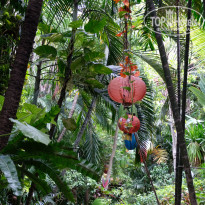 фото из отзыва ID 1642697