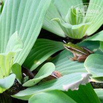 фото из отзыва ID 1642697