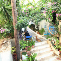 фото из отзыва ID 1642937