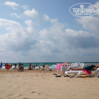 фото из отзыва ID 1643018