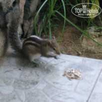 фото из отзыва ID 1643029