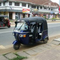 фото из отзыва ID 1643029