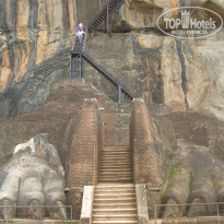 фото из отзыва ID 1643029