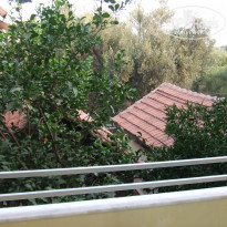 фото из отзыва ID 1643038