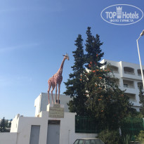 фото из отзыва ID 1643099