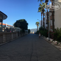 фото из отзыва ID 1643101