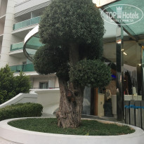 фото из отзыва ID 1643286