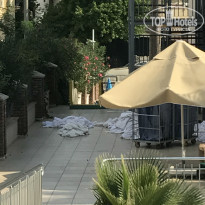 фото из отзыва ID 1643400