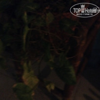 фото из отзыва ID 1643401