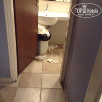 фото из отзыва ID 1643401