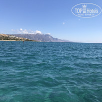 фото из отзыва ID 1643466