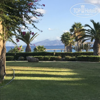 фото из отзыва ID 1643466