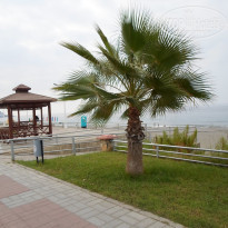 фото из отзыва ID 1641914