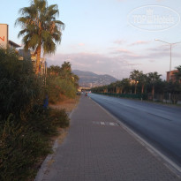 фото из отзыва ID 1643651