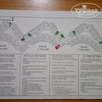 фото из отзыва ID 1643688