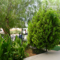 фото из отзыва ID 1643585